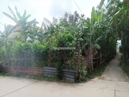 4 Cần bán lô đất thổ cư đẹp Xã Điện Hồng, Thị xã Điện Bàn, Quảng Nam