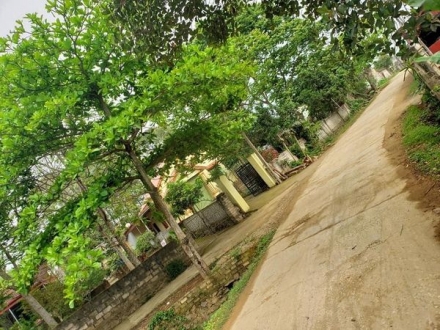 4 Cần bán lô đất tại xã vĩnh hưng - vĩnh lộc - thanh hóa