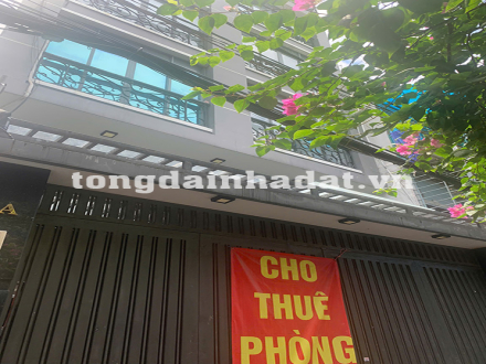 4 Bán nhà 58 Hiệp Nhất, P.4, Q.Tân Bình, TPHCM 