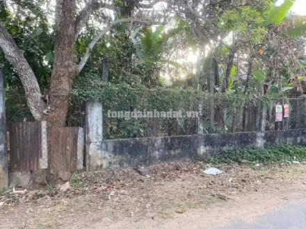 4 Bán đất mặt đường số 66 Lê Quang Định, P Yên Thế, TP Pleiku, Tỉnh Gia Lai