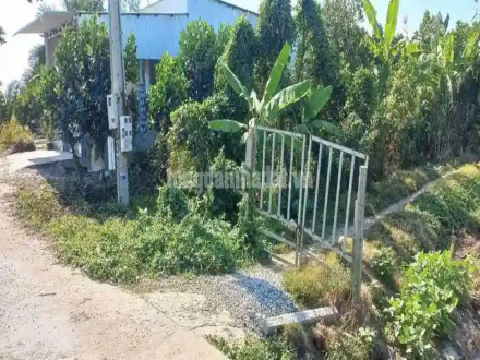 4 Bán 3.000 m2 mặt tiền đường Nông Thôn, Xã Tân Phú, Huyện Thanh Bình, Đồng Tháp