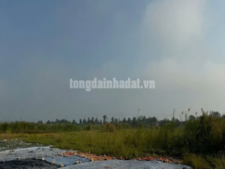 4 BÁN 2.1 HA ĐẤT CỤM CÔNG NGHIỆP MỸ HIỆP, ĐỒNG THÁP