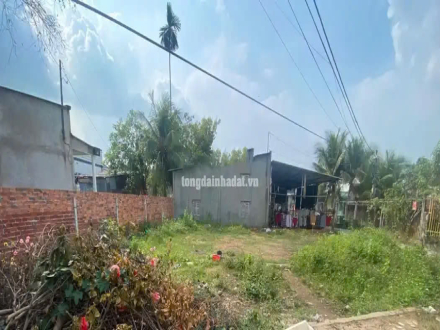 4 Bán đất Khóm 4 , Phường Thành Phước, Thị xã Bình Minh, Vĩnh Long